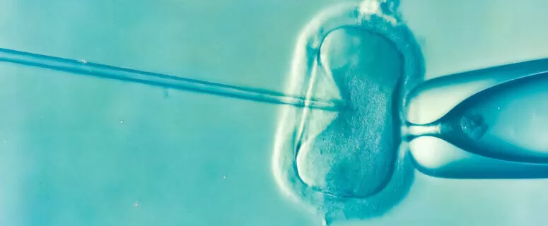 Why have some healthcare providers in Alabama suspended IVF services as of February 2024?